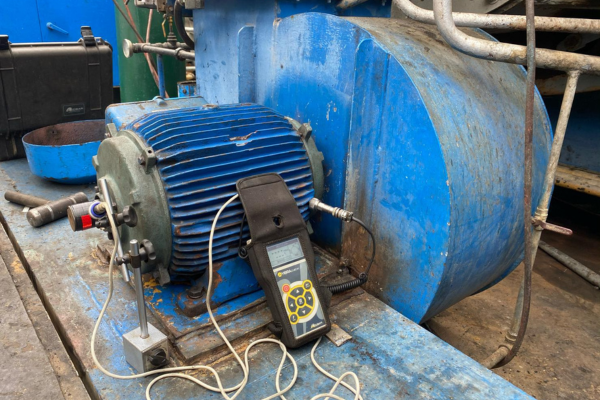 vibracheck 200b balanceador portátil